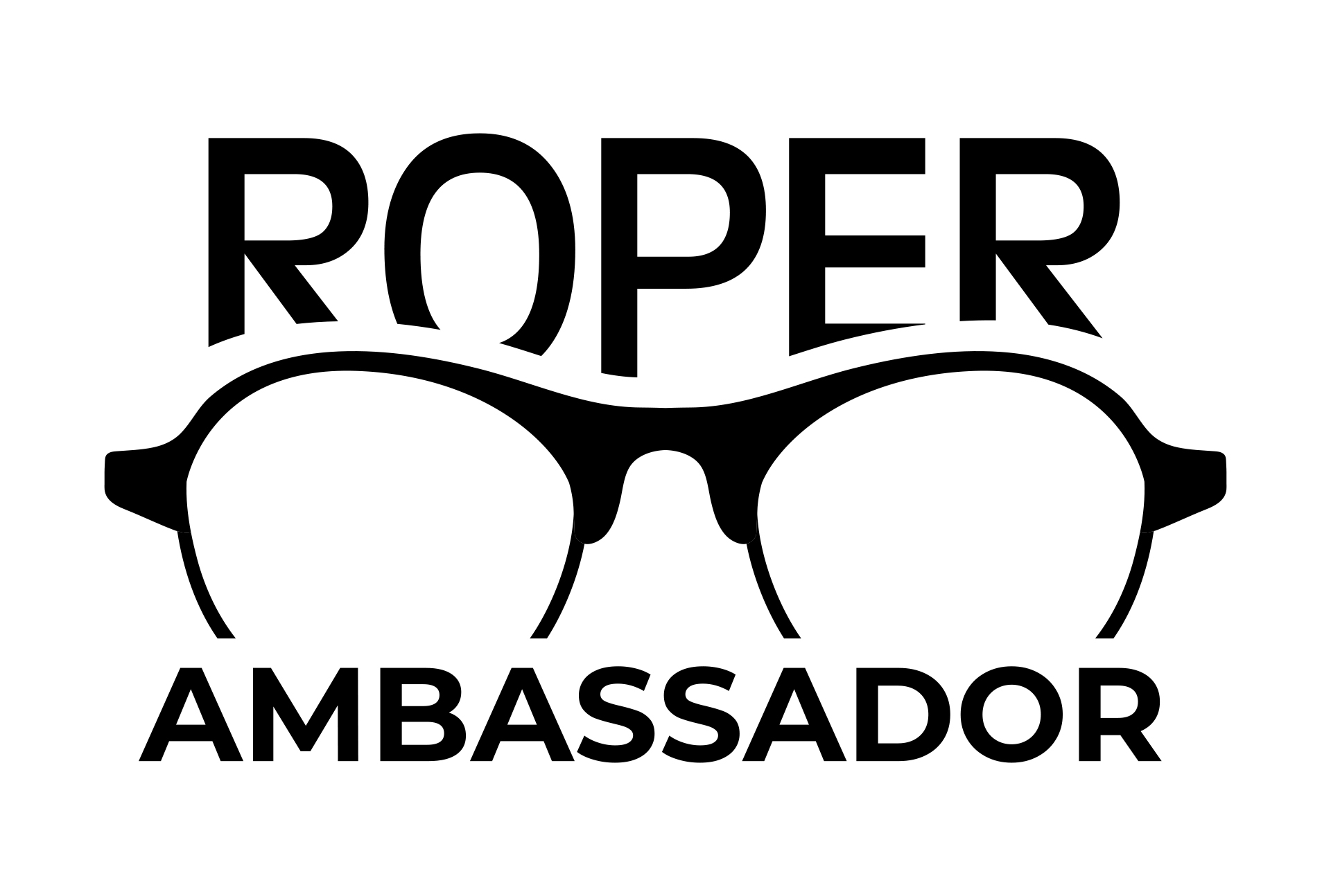 Roper Ambassador Program Roper Center For Public Opinion Research 2614